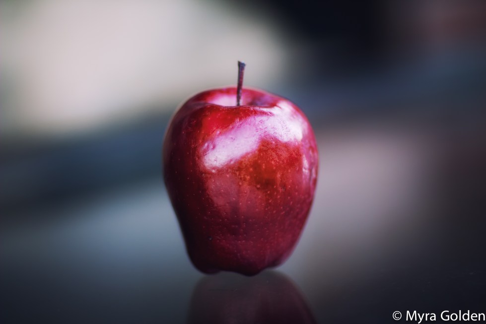 9090748276_80afd1e1dd_o