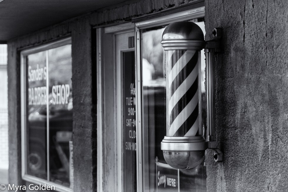 Myra Golden Field Trip-2