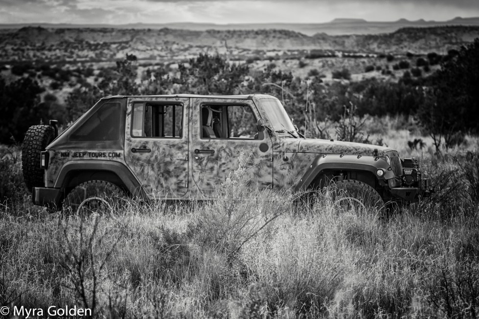 New Mexico Jeep Tours.jpg